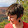 Martha Pettit's profile photo