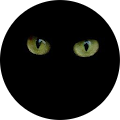 Avatar de Sage.a