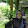 ÖZLEM BAĞLAR's profile photo