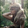 Agnė Dikčiūtė's profile photo