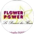 Avis de Flowers.o avec une note de 5 sur 5