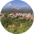 Ml Fernandez