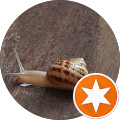 Avis de Snail.r avec une note de 5 sur 5