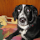 Costas Gargerakis's profile photo