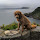 prn...@gmail.com's profile photo