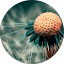 SBK profile picture