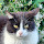 Stepan Tkhir's profile photo