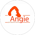 Pinturas y mantenimiento - 