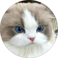 Avatar de cecile.