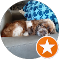 Mason Dixon Movers, LLC - Gadsden, Alabama