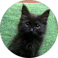 Avatar de Quentin.e