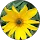 Community member