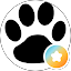 海猫