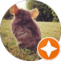 Resenha de XY. com nota 2 de 5