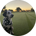 Community member