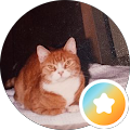 Profile photo of Toni Ann