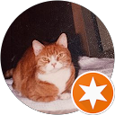 Toni Ann's profile photo