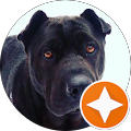 Avatar de Benjamin.h