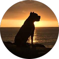 Review Author Image