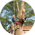 Edward Jones - Financial Advisor: Mark P Richardson, CFP® - Columbia, Missouri