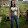 rose...@gmail.com's profile photo