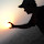 Rahul Thakur's profile photo