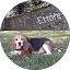 Ettore