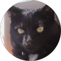 Avatar de martine.e