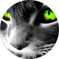 Avis de Masterowyy. avec une note de 5 sur 5