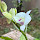 klong11's profile photo