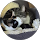 Ton Collewijn profile picture