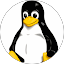 King Linux