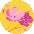Avatar de Mimoza.r
