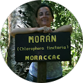 kika morán