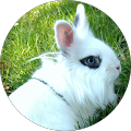 Avatar de léone.a