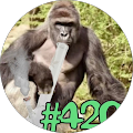 Harambe420 on the Interwebs