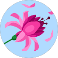 Avatar de Amandine.I