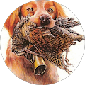 Avatar de becassier38.