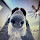 eabus...@gmail.com's profile photo