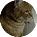 Avatar de Marilyne.