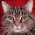 dave...@gmail.com's profile photo