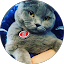 Milo LU