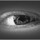 rolloca...@gmail.com's profile photo