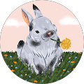 Hundesalon BenSa - Sonsbeck
