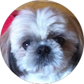 Avatar de Françoise.e