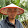 Mr LONG ( Broker real estate professional )'s profile photo