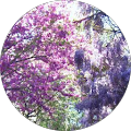 Avatar de bene86.