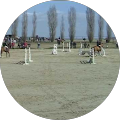 Avatar de Peg.I