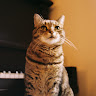 Photo de Emmy Metcalfe
