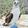Serdar Unalan's profile photo